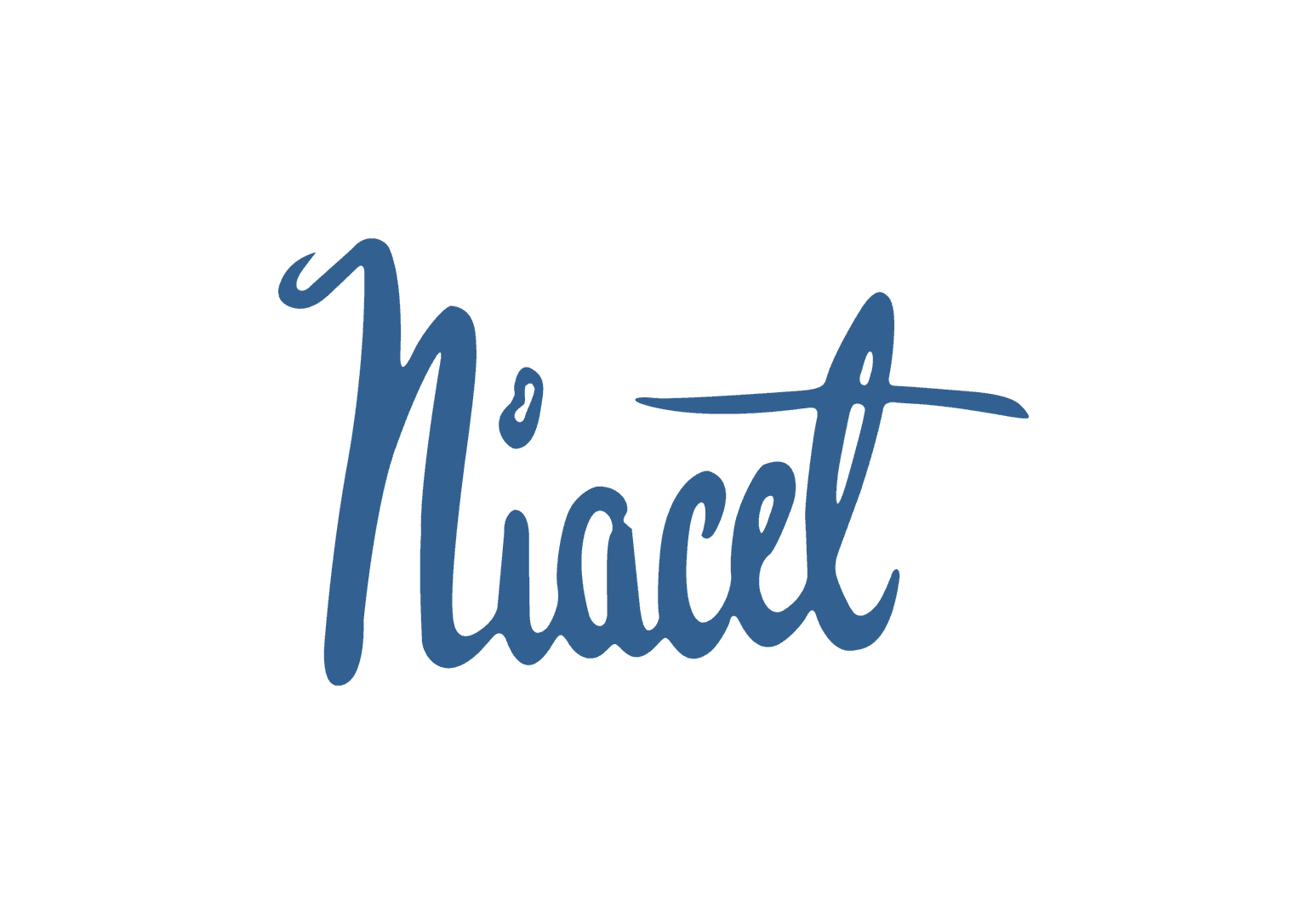 Picture of the Niacet's logo.